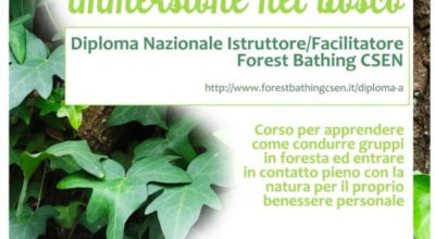 Giornate formative di Forest Bathing