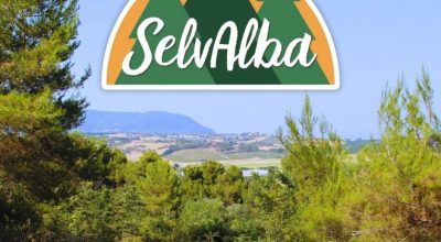 Selvalba2023-1280×1274
