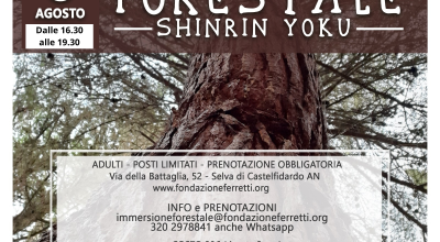 Immersione forestale Shinrin yoku